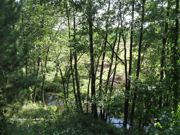 улас